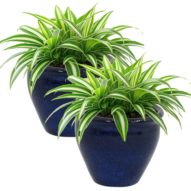 Jardinière extérieure ronde en céramique 9,5 po x 9,5 po x 8 po Chalet - bleu impérial, Bleu, H 8 po x l 9,5 po x P 9,5 po