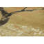 One-of-a-Kind 3'1x11'10 Hand Knotted Area Rug