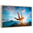 Floating Frame Natural Wood