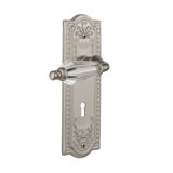 Crystal Parlor Interior Mortise Door Lever with Meadows Long Plate