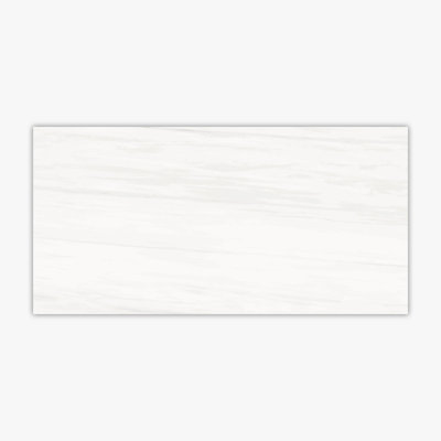 Dolomite White Matte 24x48 Porcelain Tile