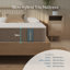 Serenity Wayfair Sleep™ Open Coil Mattress-1382941294
