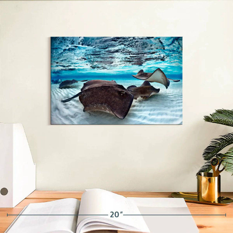 Brampt Stingrays Sea Life, 8" H x 12" W