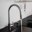 Kitchen Faucet / Pull-Out With Dual Spray / Cross-32408464