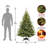 6ft. Hearthwood Spruce Christmas Tree with Clear Lights