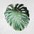 Monstera Leaf Botanical Canvas - Exotic Green Home Decor-119951245