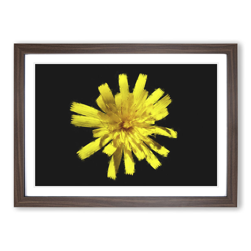 Yellow Flower - Picture Frame Graphic Art, 48cm H x 65cm W x 2cm D, Walnut Framed
