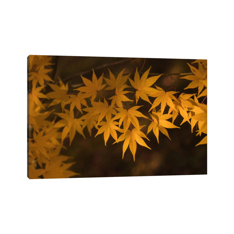 Autumn In Japan II by Daniel Kordan - Wrapped Canvas Print, 30.48 cm H x 45.72 cm W