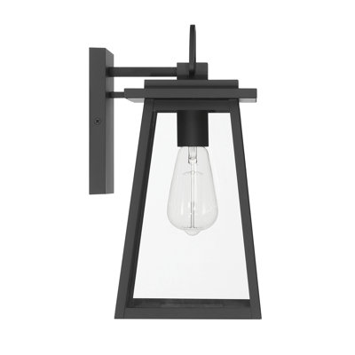 Hunter Ivory Dusk Outdoor 1 Light Medium 14 Inch Wall Light