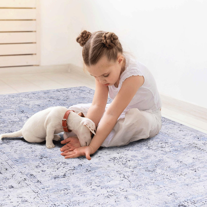 2' X 3' Area Rugs, Machine Washable, Low-Pile, Non-Slip, Non-Shedding, Foldable, Perfect For Living Room, Bedroom, Kitchen, Dining & Pet  Blue + Cream Washable Rugs 2X3, , Transform Your Home Into A