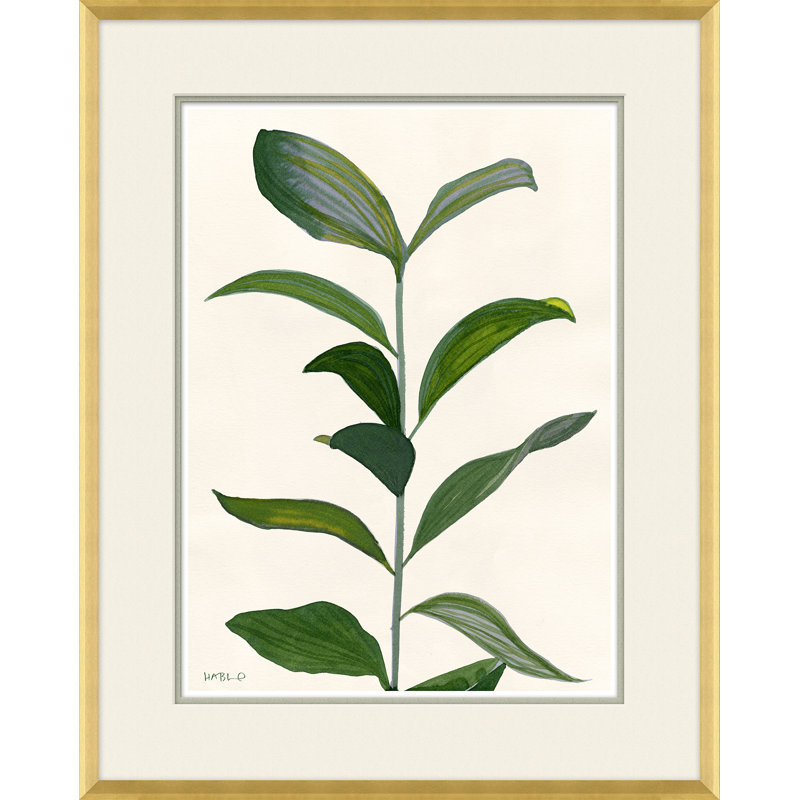 Sea Greens Giclee Print by Susan Hable