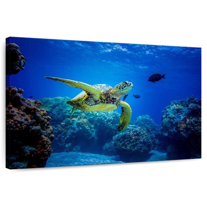 Crowle Glowing Turtle, 8" H x 12" W
