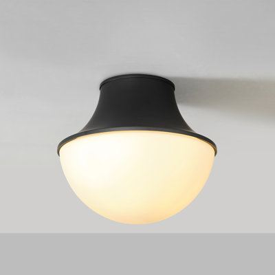 1-Light Matte Black Flush Mount Ceiling Light with Frosted Glass Shade