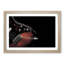Electric Guitar in the Shadows in Abstract - Picture Frame Graphic Art Print-55725659-55725660