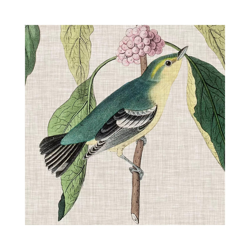 Avian Crop IV by John James Audubon - Wrapped Canvas Painting, 45.72cm H x 45.72cm W x 1.91cm D