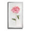 Pivoine II - Cadre photo, reproduction d'art sur papier-557836933-557836935
