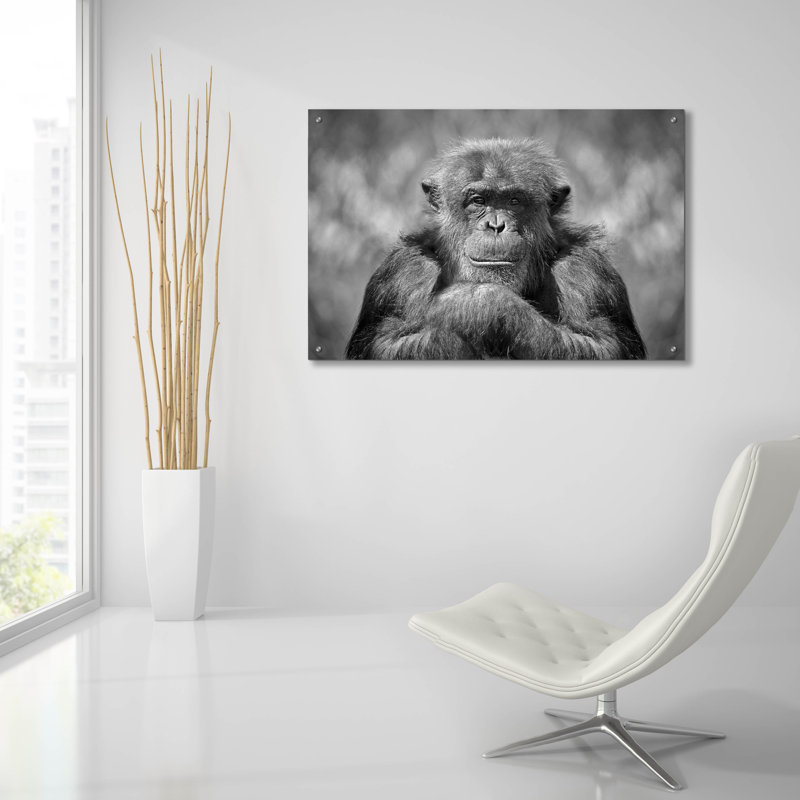 " Chimp " by SD Smart, 24" H x 36" W x 0.2" D