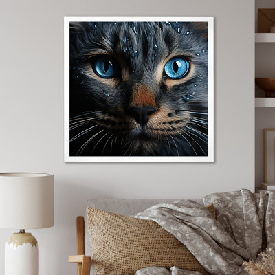 " Cat Blue Eye Reflection "