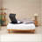 Adjustable U-Shaped Full-Body Recliner For Sleeping, Reading, And Physiotherapy With Ergonomic Support