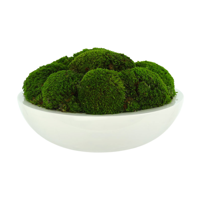 5" Artificial Moss Plant in Planter, 8" H x 14" W x 14" D
