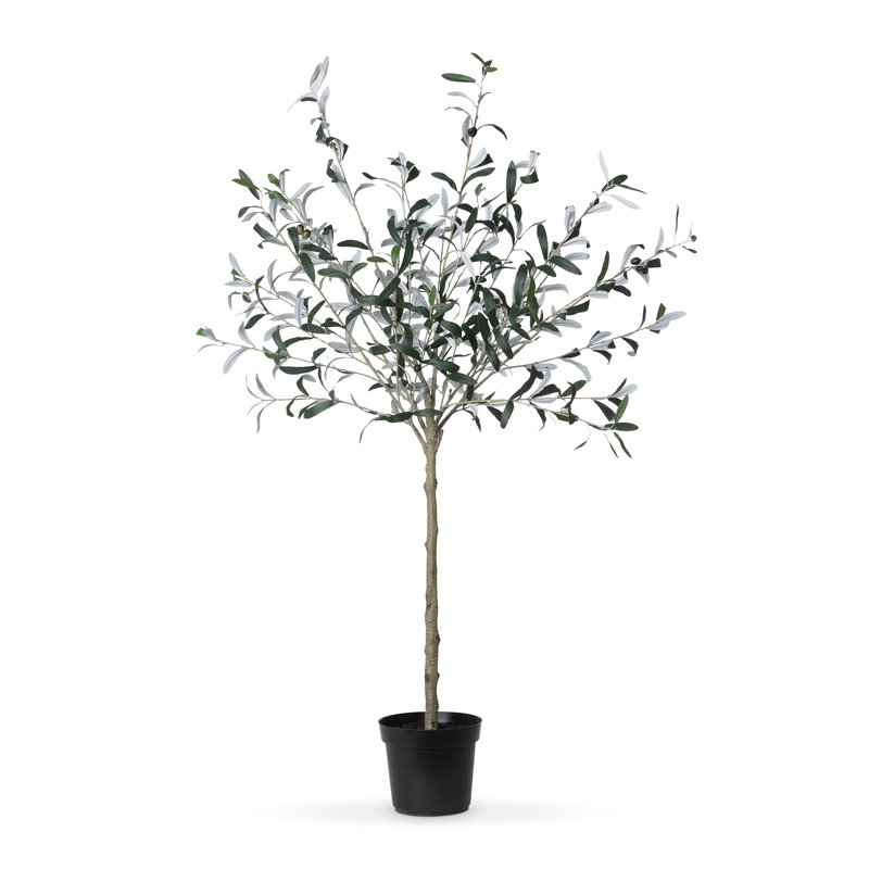 Faux Olive Tree Tree in Pot