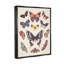 «Cottage Moths and Butterflies On Wood» par Diane Neukirch, impression-93846728-93852754