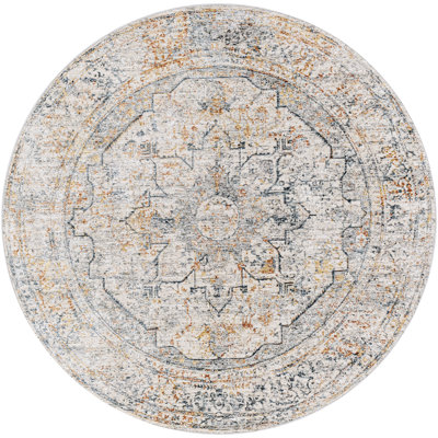 Oriental Indoor Rug
