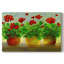 Geraniums III -Galerie enveloppée Cavas-130191556