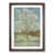 Walnut Framed