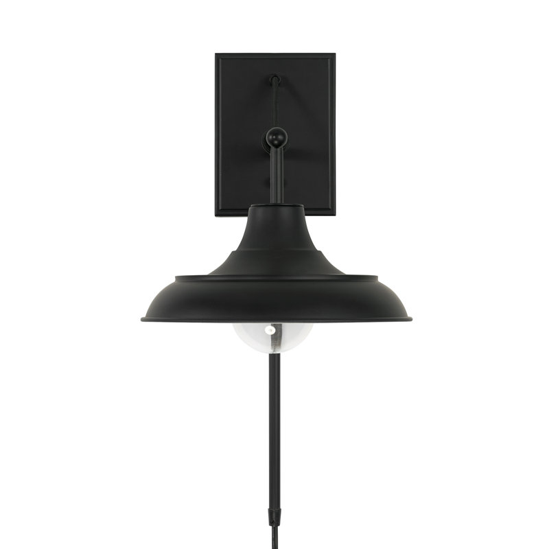 Plug-in Barn Light