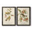 Parure en bois vert à gorge noire - ensemble de 2 reproductions d'art sur toiles-2085752854-2085752841