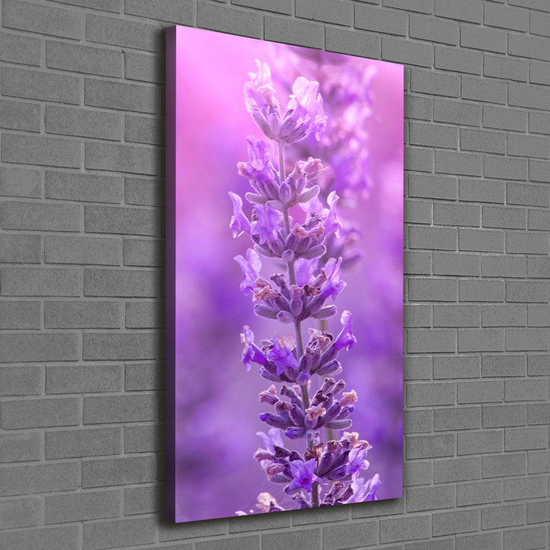 Lavender Field - Wrapped Canvas Print