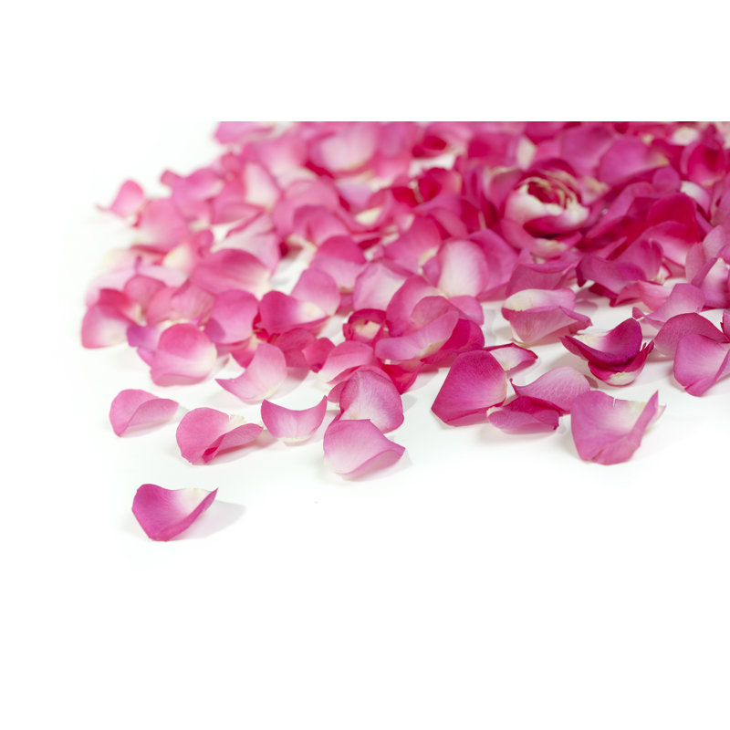 Rose Petals On White - Wrapped Canvas Print, 20cm H x 30cm W x 3.8cm D