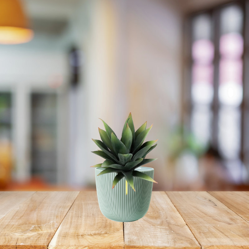 Artificial 6" Tall Artificial Succulent Plant