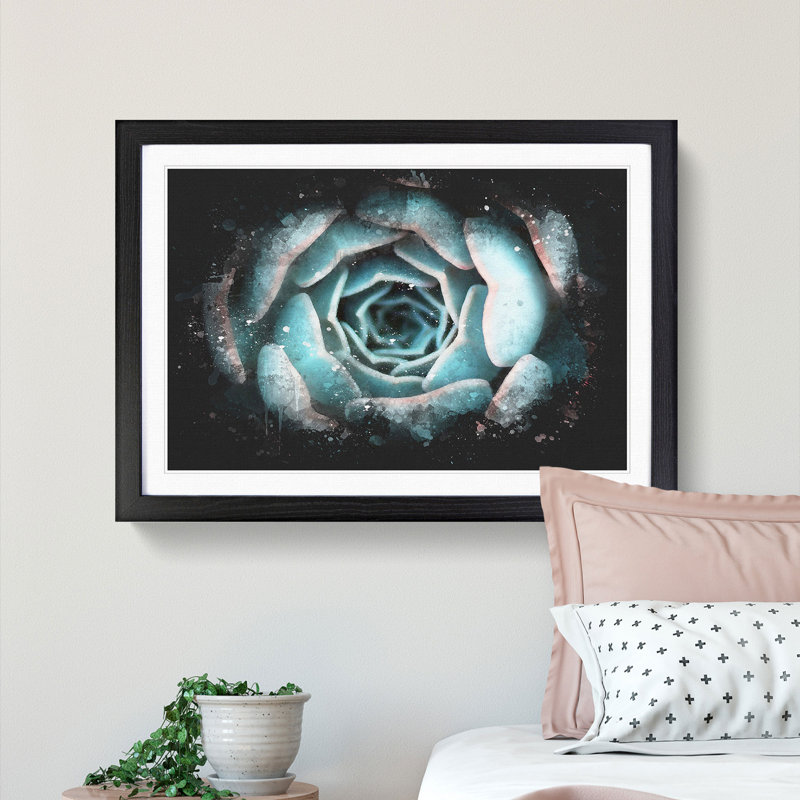 Pink & Green Succulent Plant - Single Picture Frame Print on MDF, Black Framed, 45cm H x 63cm W x 2cm D