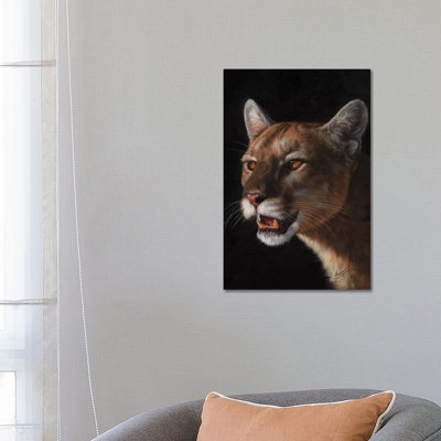 Cougar by David Stribbling - Wrapped Canvas Print