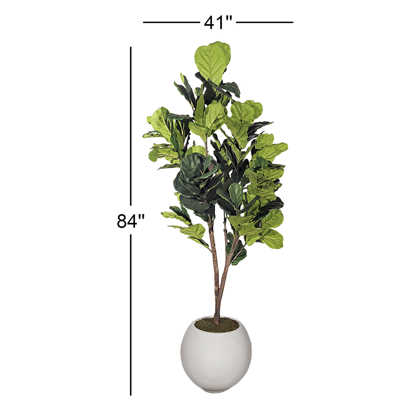 84" Fiddle Leaf Fig Tree in Planter