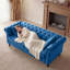 Canapé Chesterfield Fynlie-1554671445