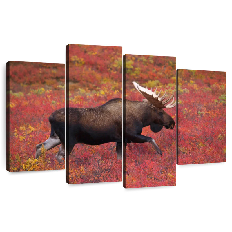 Brampt Denali National Park Moose, 22" H x 36" W