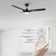 Gailyn 52'' Ceiling Fan with LED Lights