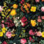 Fleurs et oiseau, impression sur toile tendue-20191855-72689731-72689733