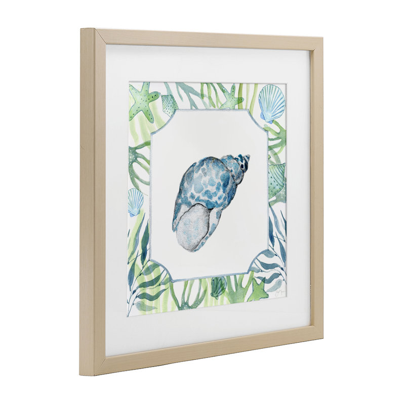 «Cowrie tacheté avec algues», reproduction encadrée sous verre, design par Janet Tava, Récolte de pin sous cadre en verre
