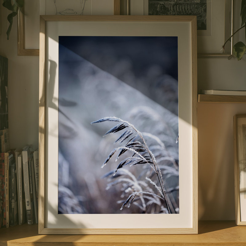 Wrapped Canvas Print, 91.44 cm H x 60.96 cm W
