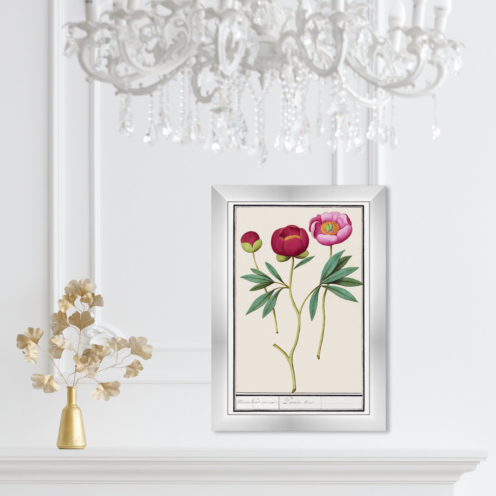 Red and Pink Peony Botanical Study Print, 17" H x 12" W, Silver