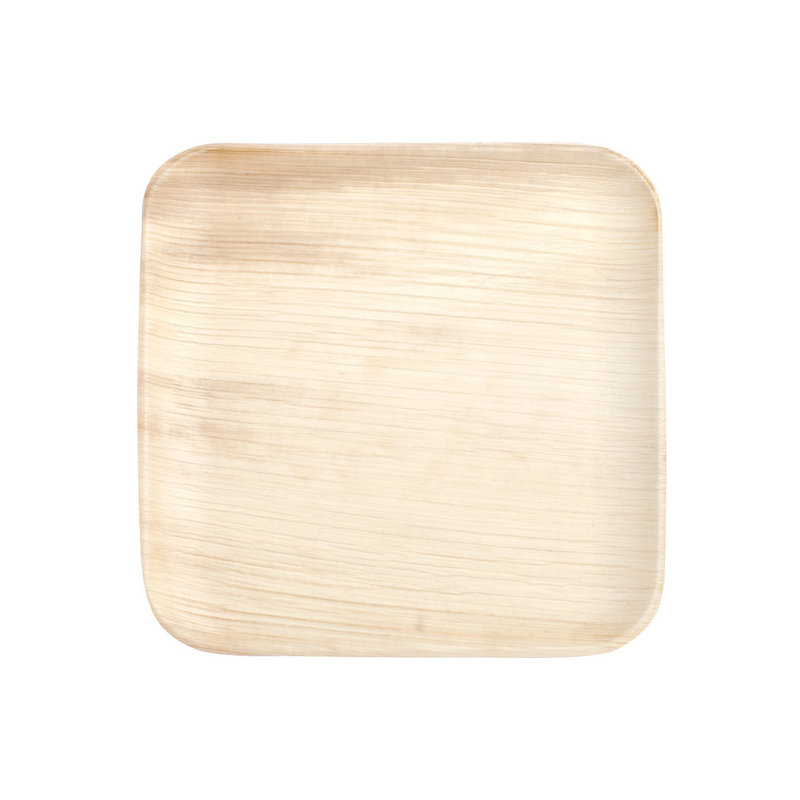 Assiettes jetables de 8 po - Compostables