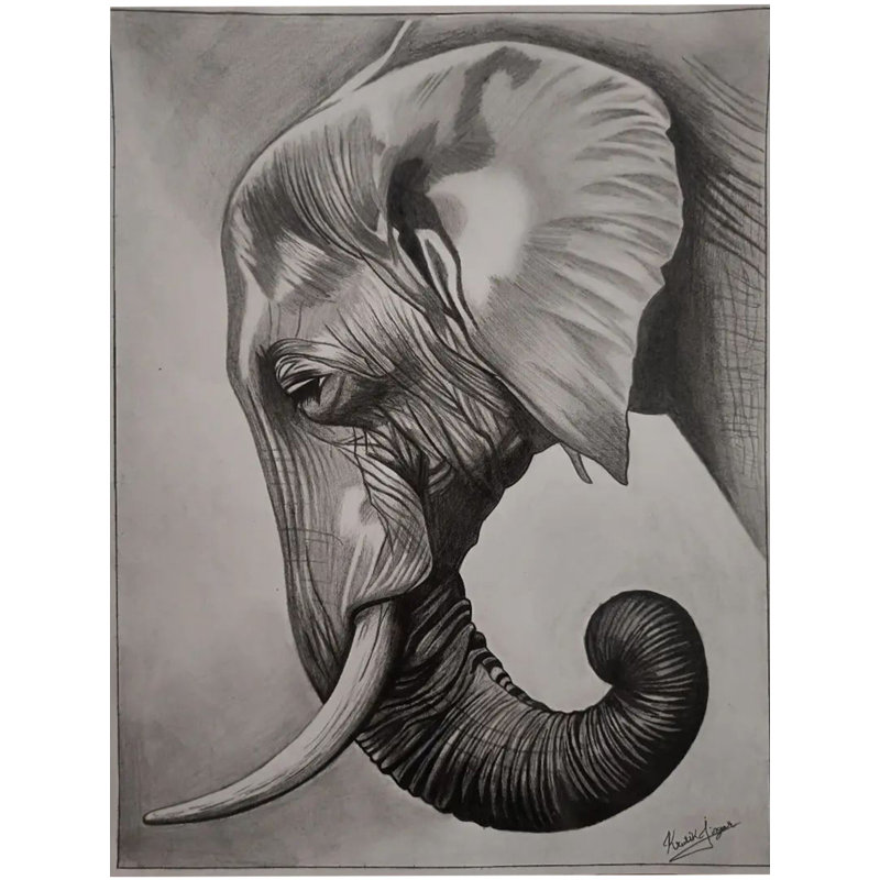 Éléphant fort avec des yeux paisibles, dessin au fusain sur papier - Art animalier indien de 11,7 po x 8,7 po par Krutik Jangir
