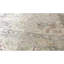 Sona Silk Oriental Area Rug in Ivory