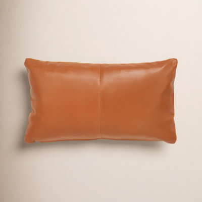 Darryn 20" x 12" Leather Throw Pillow