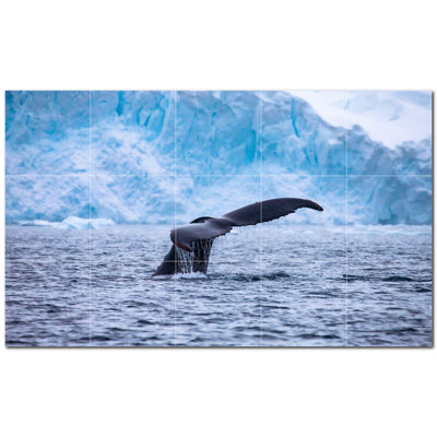 Murale en céramique satinée Whale Photo 12 po x 12 po