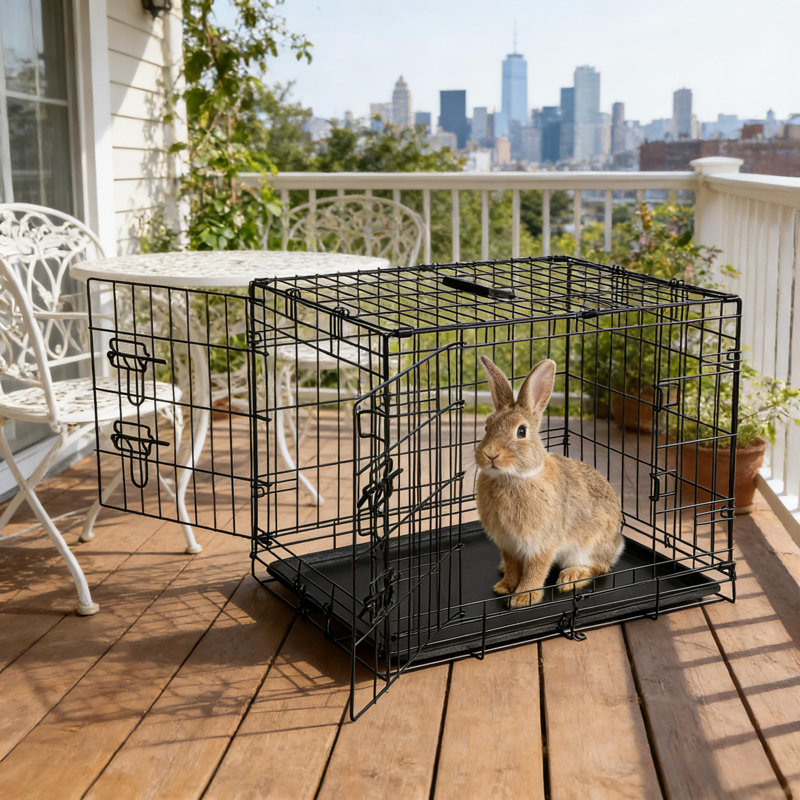 Porte-lapins portatifs avec plateau, porte supérieure et frontale, petite cage pliante pour lapin, furet, rat